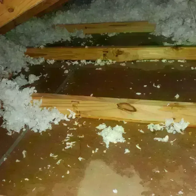 Attic Water Damage in Golden Valley County, MT