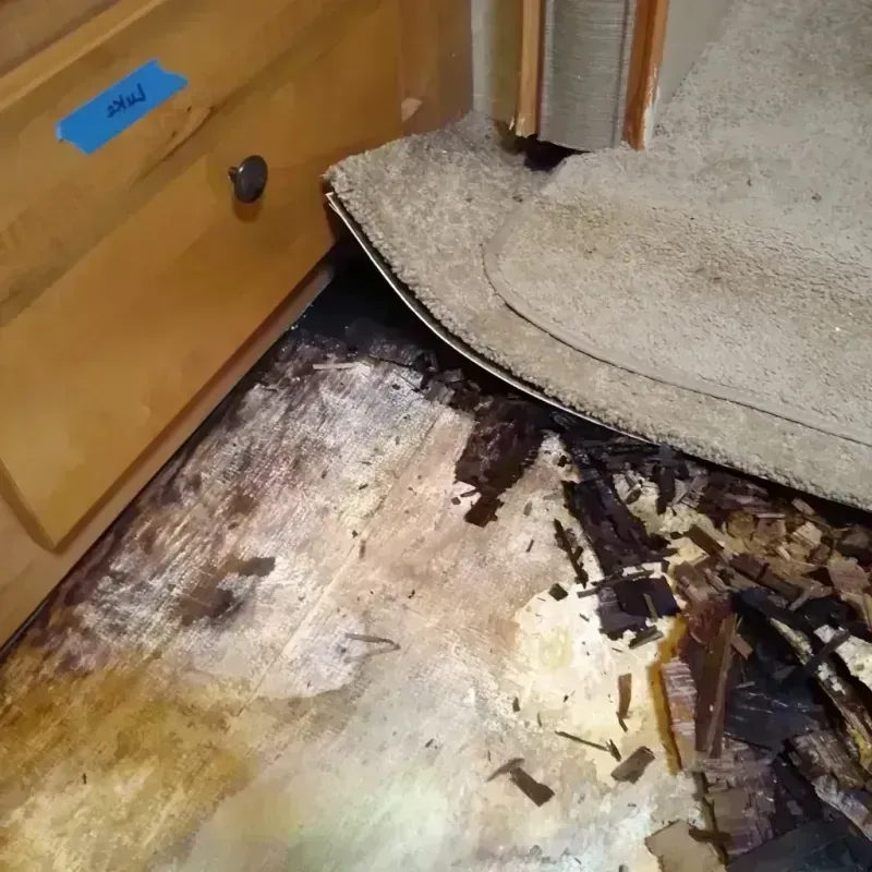 Wood Floor Water Damage in Golden Valley County, MT